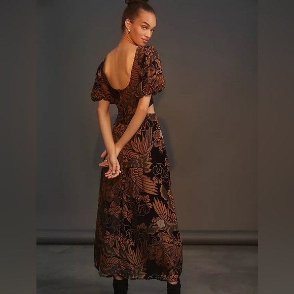 Anthropologie Let Me Be Burnout Velvet Maxi Dress - Picture 2 of 4